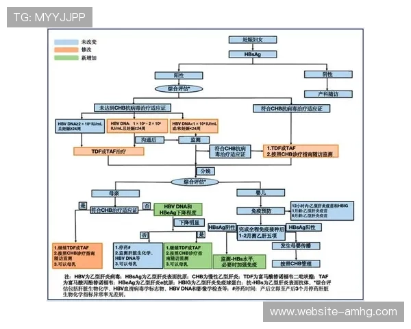 澳门皇冠中国官网最新优惠活动及注册流程详解指南