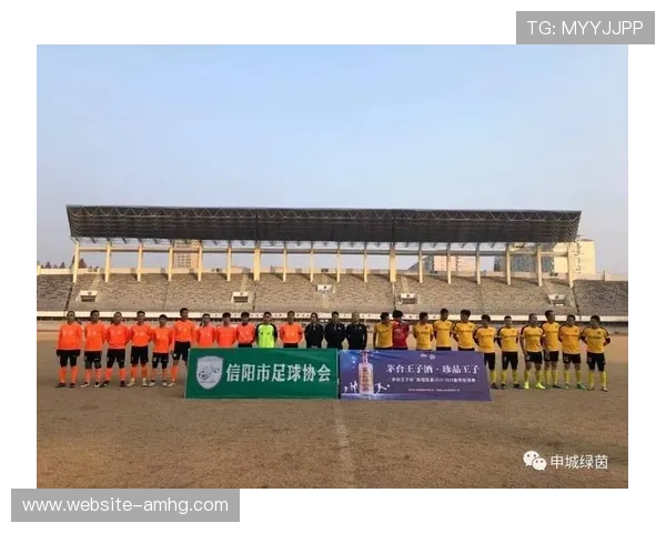 满冠体育足球官网介绍足球战术分析与球队实力评估的专业内容