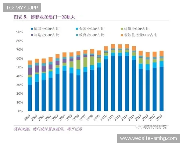 澳门博彩平台优惠政策解析，助力玩家提升中奖几率实现盈利目标