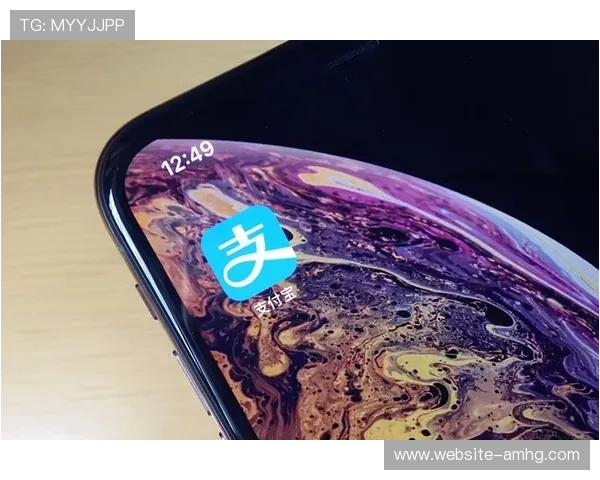 皇冠备用平台支持多种支付方式确保您的资金安全