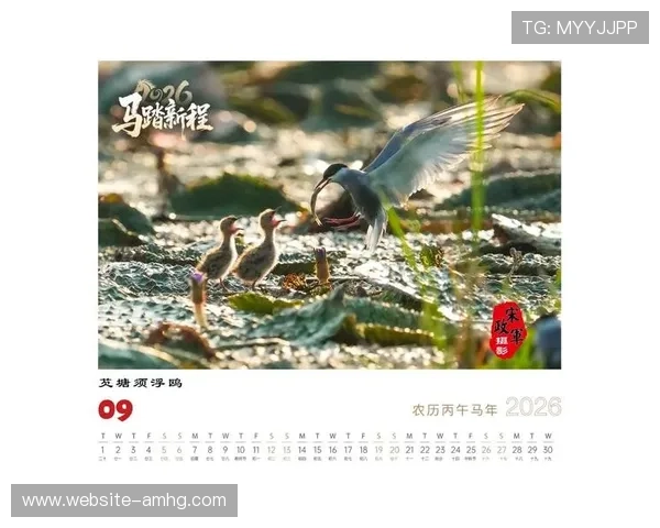 澳门六合彩历史开奖记录分析,助您制定科学的投注策略与预测 澳门六合彩历史开奖记录分析,助您制定科学的投注策略与预测
